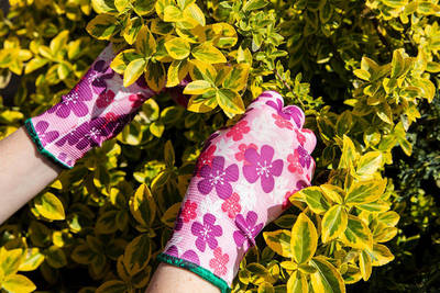 VERTO  97H147  Záhradné rukavice , polyester, kvetinový vzor, veľkosť 8"