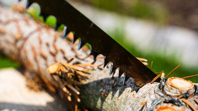 TOPEX  10A916  Pilový list pre obloukovú pilu, 610 mm,  na mokré drevo